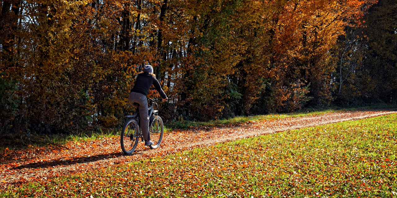 5 Tipps, wie du mit dem Fahrrad gut durch den Herbst kommst 