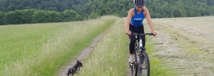 rennrad zum gravel bike KABON Carbon Rennrad, T800 Carbon Fiber Rahmen 700C mit 18 Gang, Integriertem Carbonlenker, Scheibenbremsen Carbonrad für Unisex Sport & Freizeit M-Wave Sattelbezug Anatomic (1 Fahrradständer Modellreihe Prisma:einseitig, L 500 mm, hohes Modul - 1 Fahrrad poweder blue
